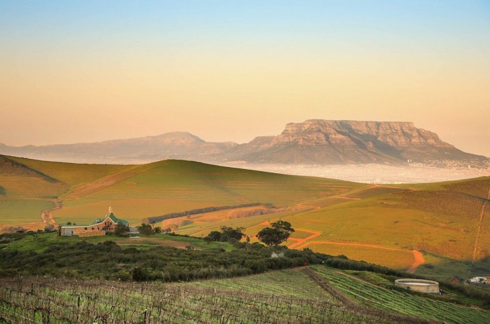 Gourmet experiences in The Winelands