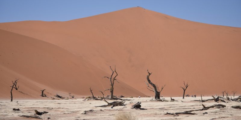Our Desert Safari Dead Vlei