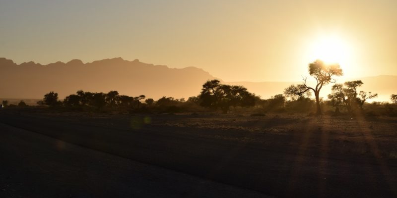 Our Desert Safari Sunset