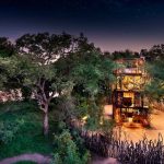 &Beyond Ngala Safari Lodge Treehouse