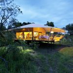 Serengeti Bushtops Camp Private Tent